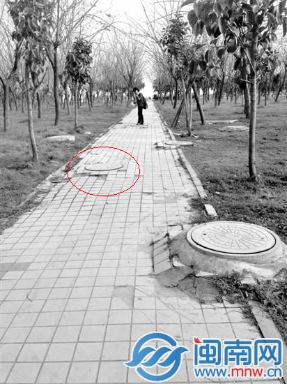 畫圈處就是葉小姐跌落的窨井