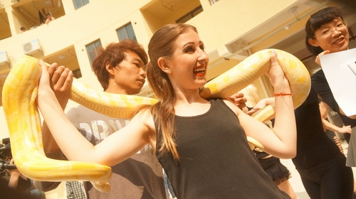 烏克蘭美女與黃金蟒合影