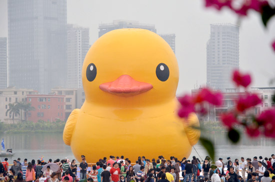 “賞鴨”市民絡(luò)繹不絕