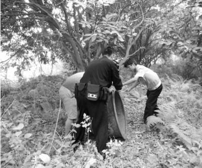 民警在樹下尋得花盆