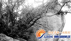 鴻山公園雙忠魂獨立巖石