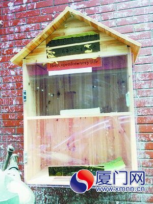 “鳥(niǎo)巢”圖書(shū)館