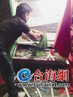 小鐘挑選“好菜”給同伴充饑