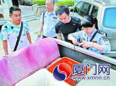 林業(yè)公安將查獲的娃娃魚等送交海洋漁業(yè)部門處理