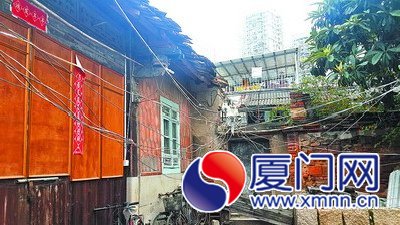 橫穿蔣厝中庭的“蜘蛛網(wǎng)”。