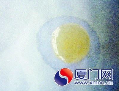 摻水蜂蜜（右）遇紙巾水漬滲開(kāi)。