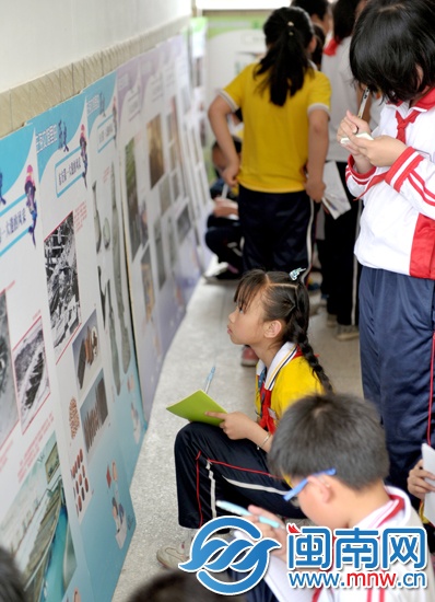 小記者認(rèn)真記下展板上的知識(shí)