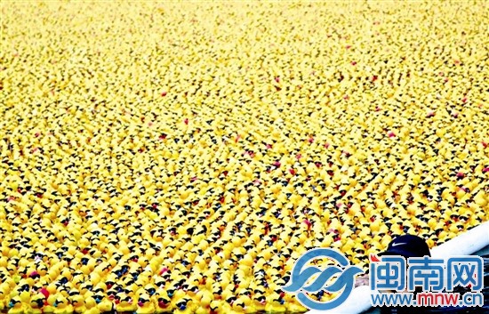 為公益而生，5萬只小黃鴨一起漂流