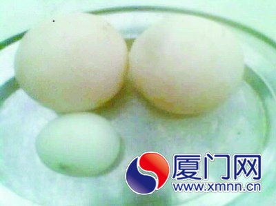 兩個(gè)巨蛋大如饅頭