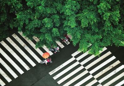 5月19日，雨中，路人打著傘從旗汛口路邊的榕樹下經(jīng)過