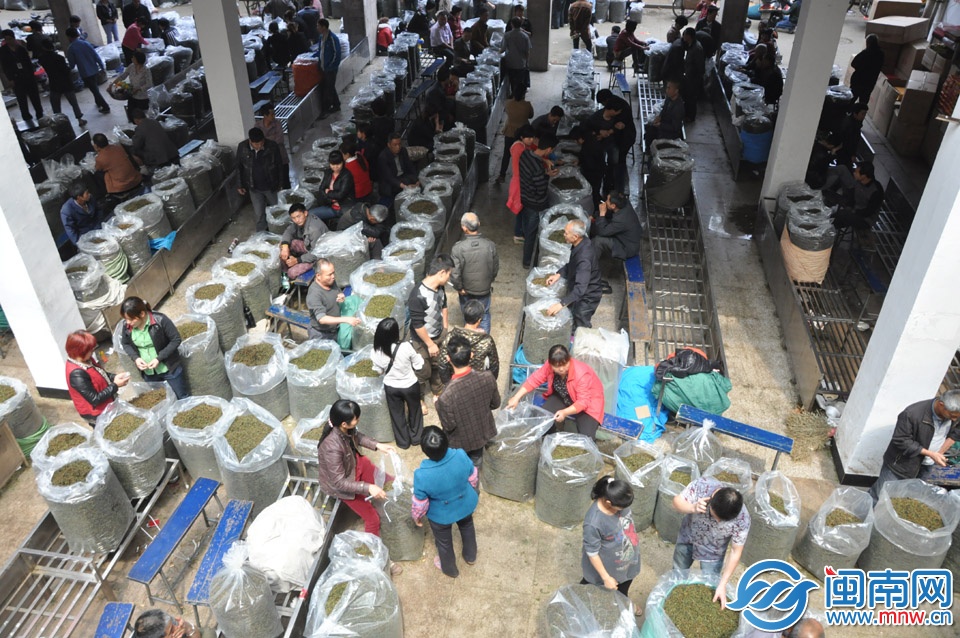 已接近中午時(shí)分，交易大廳仍有許多茶農(nóng)等待交易 副本