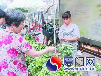 端午節(jié)，按照閩南民俗，要在門前插艾草。