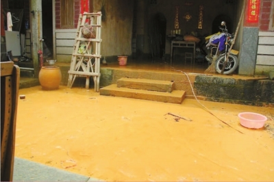 庭院內堆積著10厘米厚的泥土。