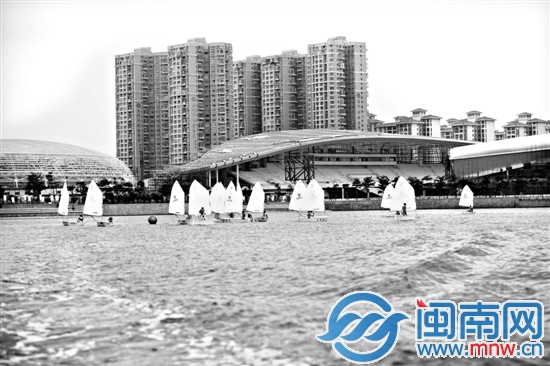 十四艘OP帆船在海滄湖上競逐