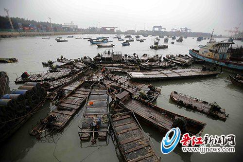 金井圍頭碼頭，漁民在加固船只