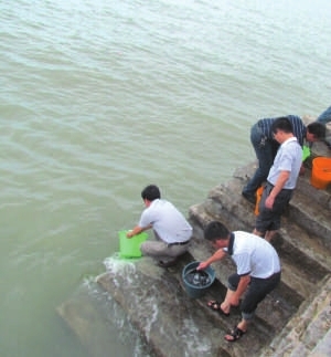 市農(nóng)業(yè)與海洋局在圍頭灣石井海域開展鱸魚增殖放流活動