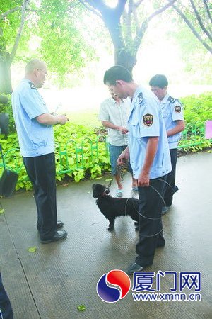 沒辦證的黑狗被執(zhí)法人員收容