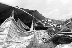 詩山一違建廠房被強(qiáng)拆