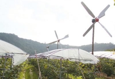 風能抽水灌溉系統(tǒng)