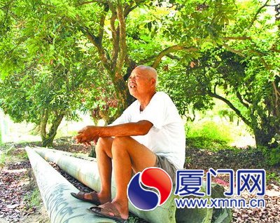 蚊蟲孳生村民苦不堪言