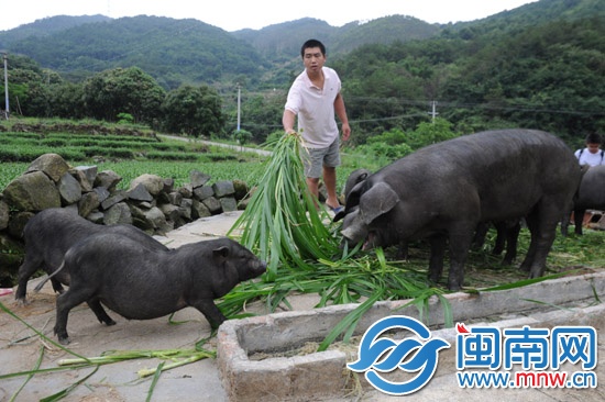 義賣助學(xué) 一個(gè)說(shuō)到做到的承諾11