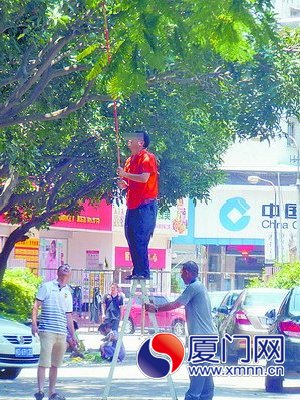 路邊果樹吸引了一些群眾，他們用各種方法采摘果子