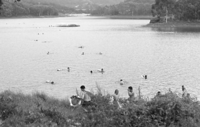 在省新鎮(zhèn)細(xì)坑水庫，來游泳的市民絡(luò)繹不絕。