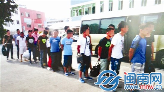 這14人，得知草莓音樂(lè)節(jié)的消息，在網(wǎng)上約好來(lái)廈盜竊