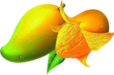 芒果
